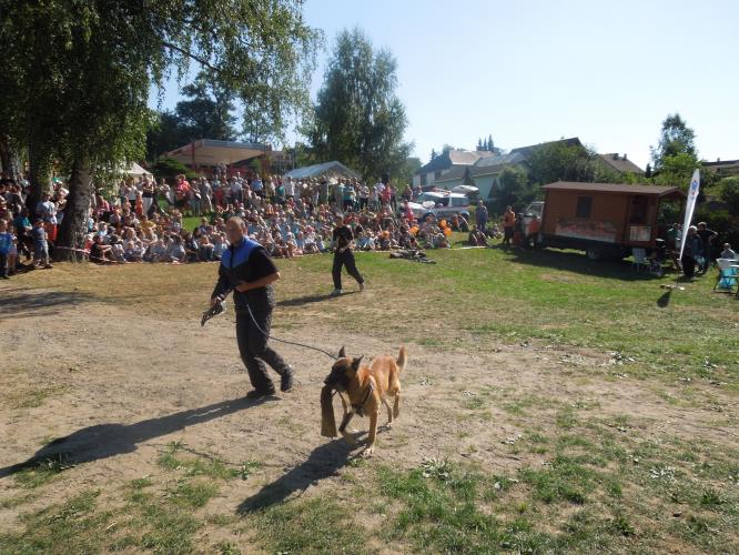 Budislav