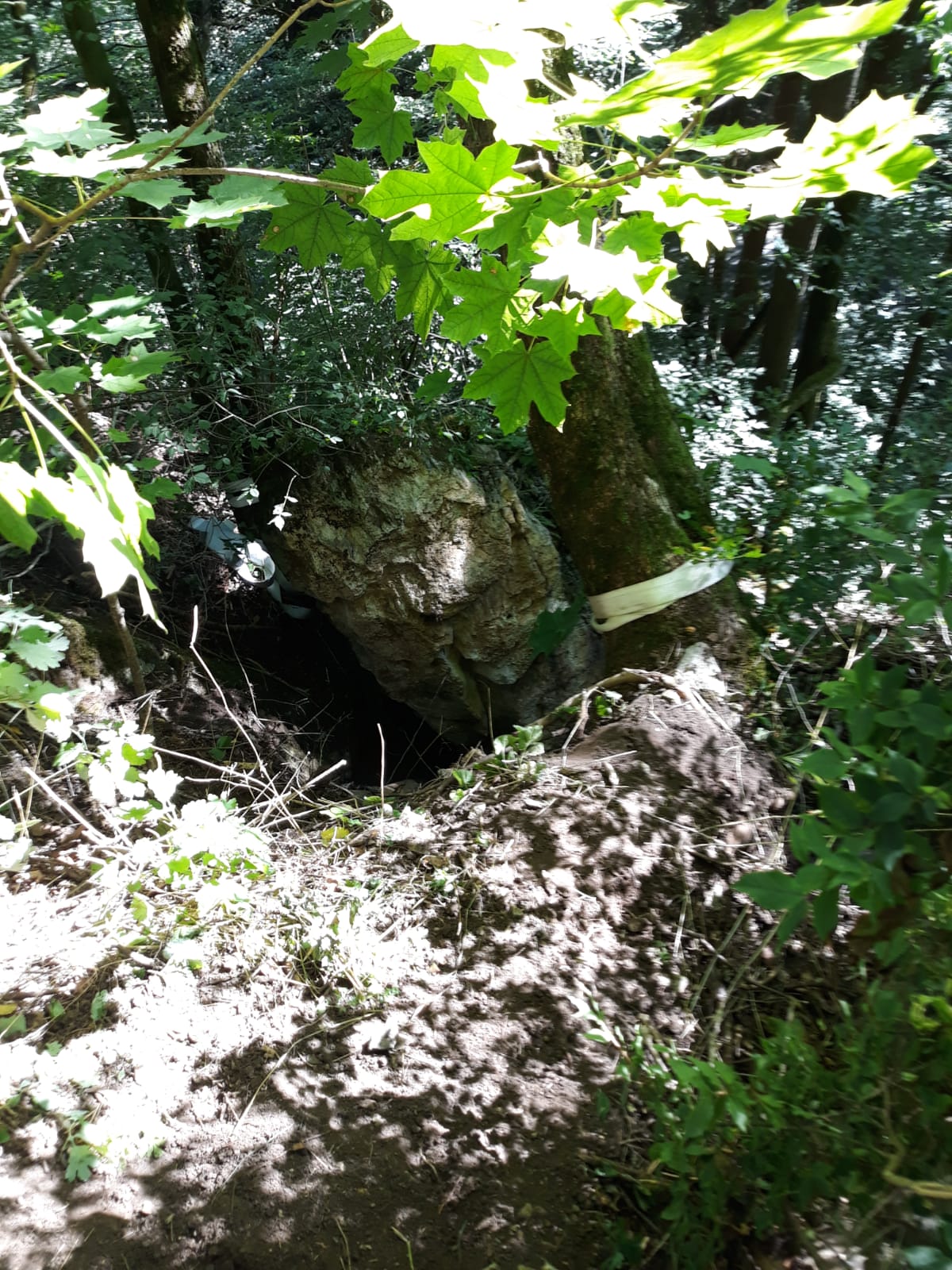 Býčí skála IMG-20200801-WA0003.jpg