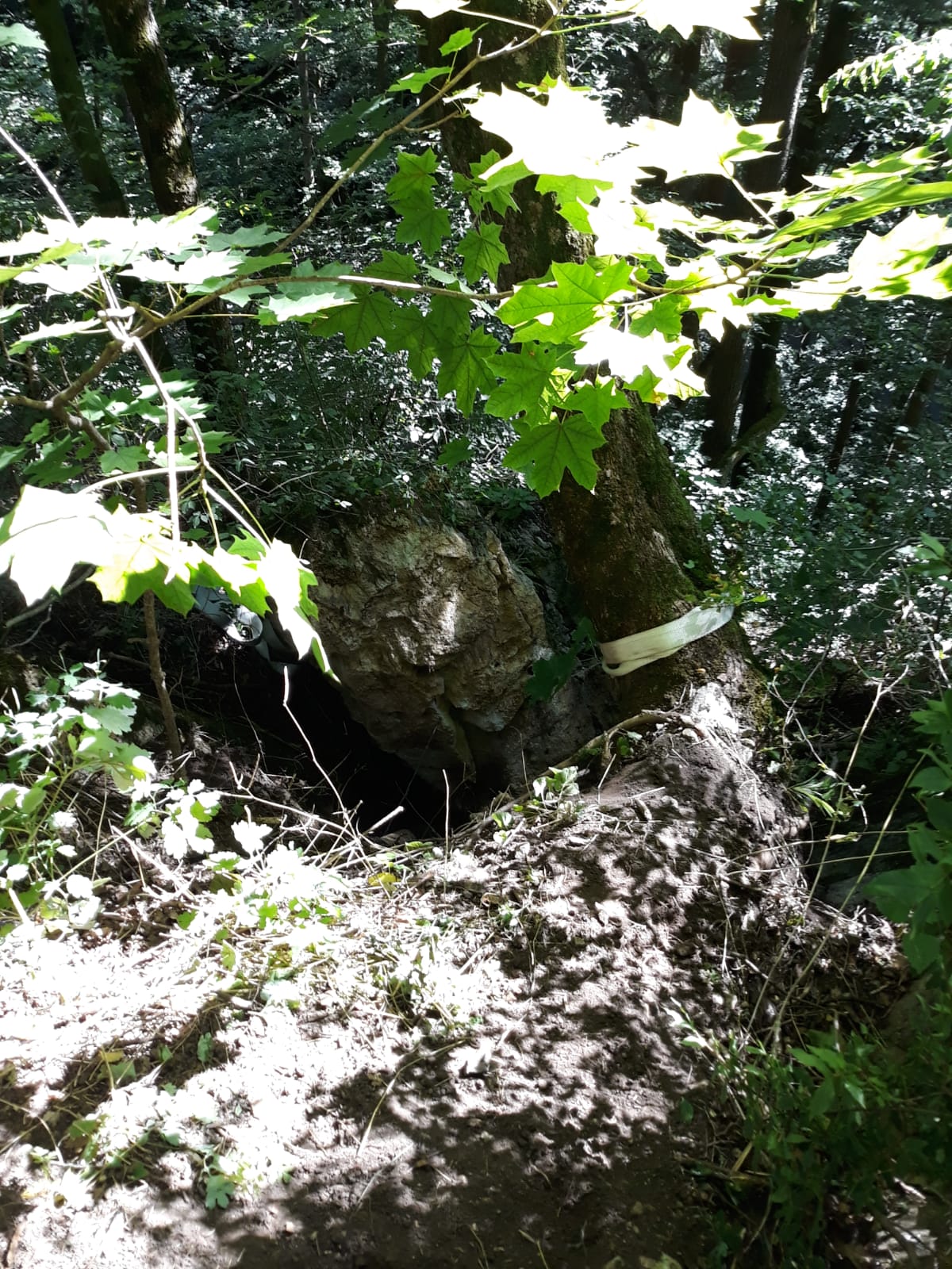 Býčí skála IMG-20200801-WA0005.jpg