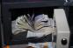 CAPUT_ANDRE (15)