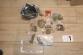 CAPUT_ANDRE (17)