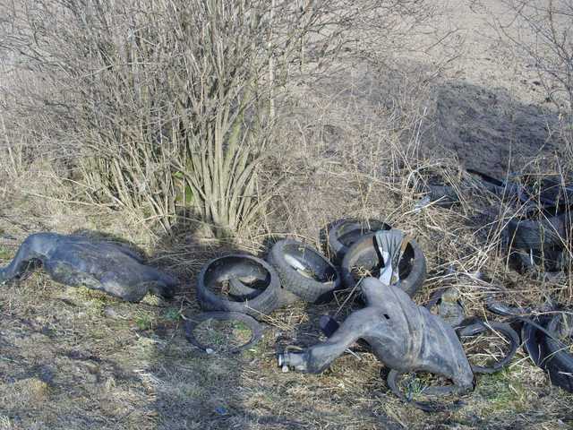 Černá skládka u Sendražic - foto č. 2