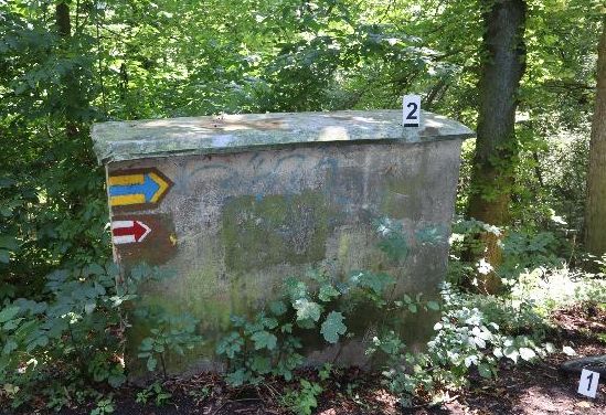 Česká Skalice 5. 8.