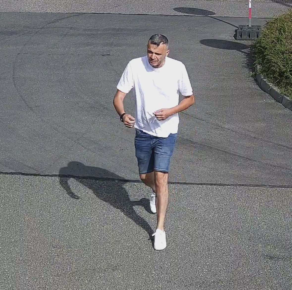 Čestlice
