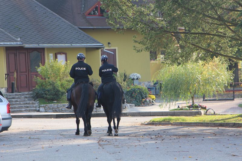 Chaty Jedovnice 4.JPG