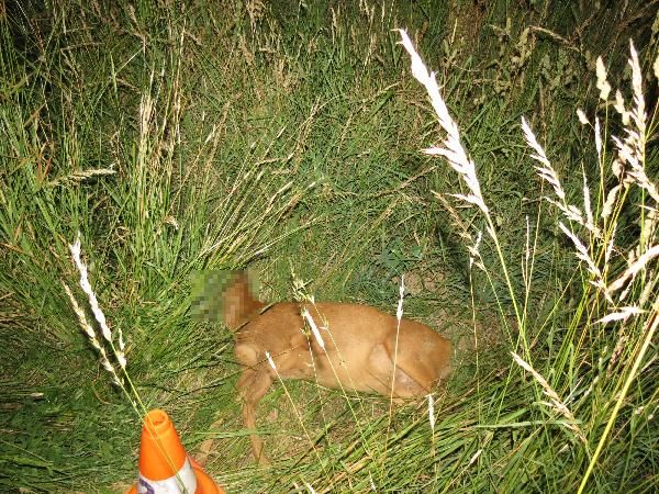 Choteč - 19.6.2022.jpg