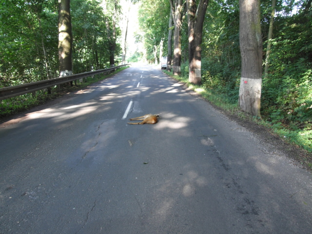 Chotěvice 19.8.