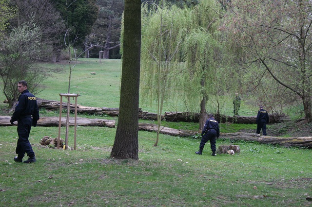 Čistý park 10.JPG