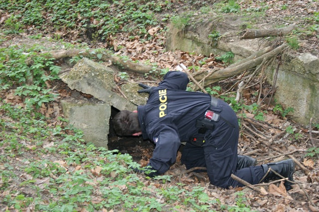 Čistý park 12.JPG