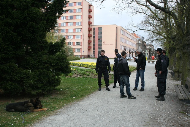 Čistý park 15.JPG