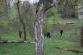 Čistý park 7