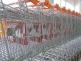 Coop Bzenec 2