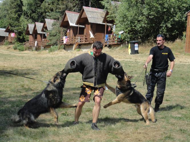 Čtyřnozí ochránci zákona zavítali na tábor pořádaný DDM Jirkov v Dolním Radíkově .JPG