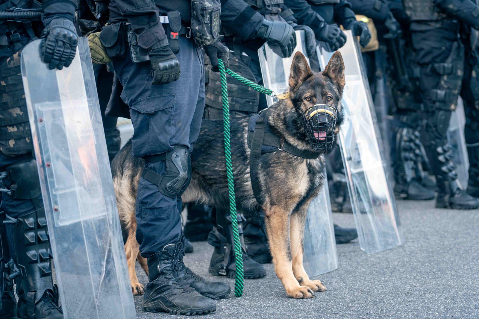 Cvičení Věznice 2025