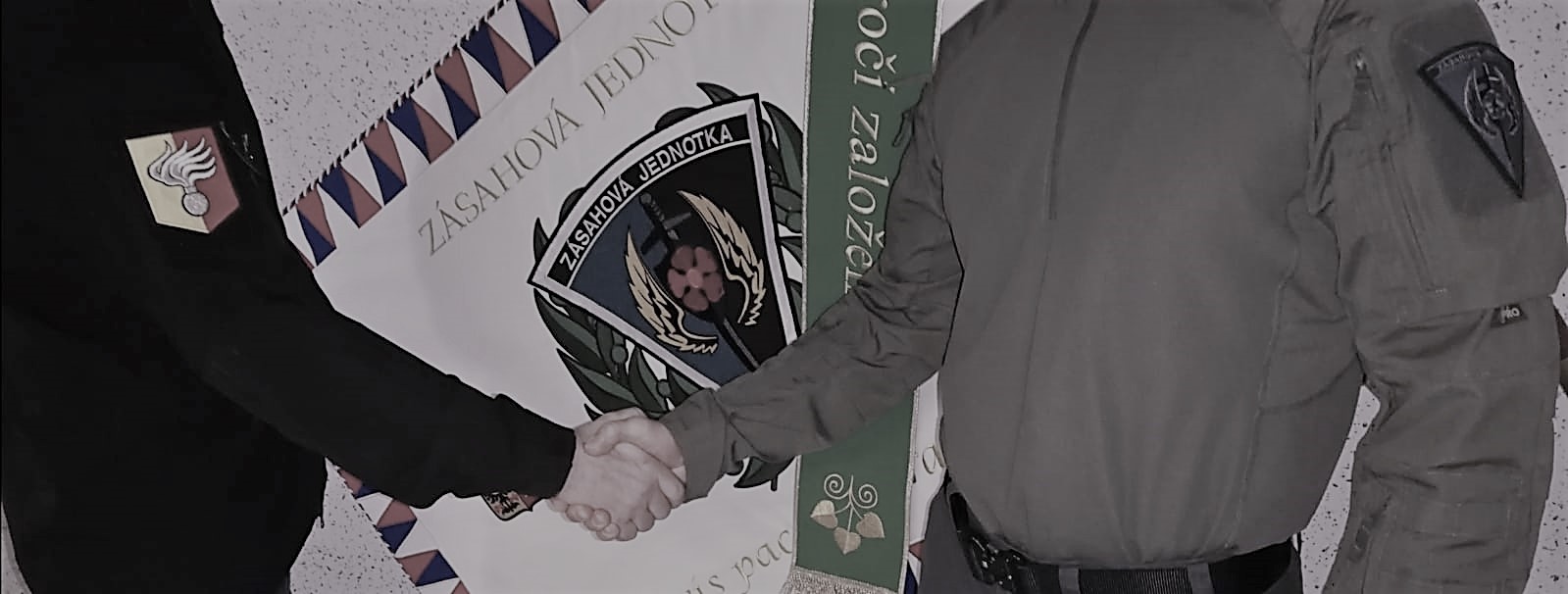 Cvičení ZJ a Vojenské policie