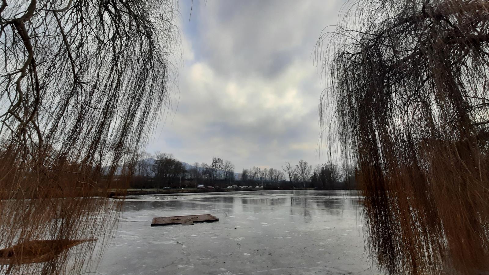Děčín - Zámecký rybník