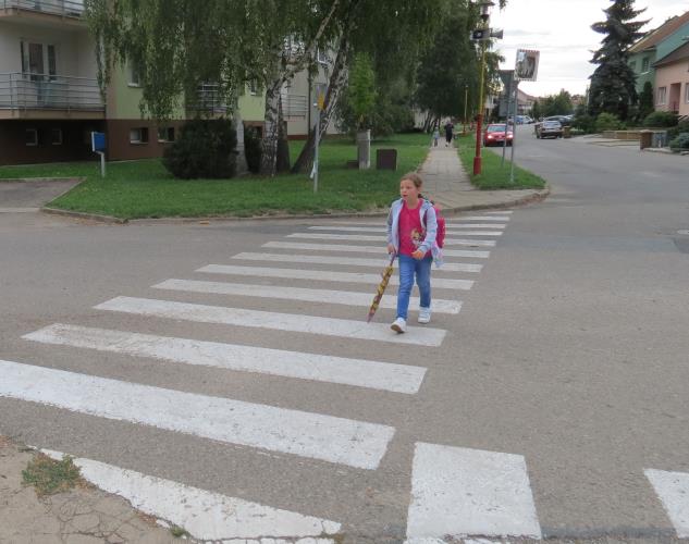 DBAZebra5.jpg
