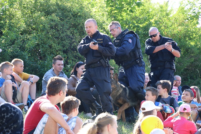 DEN PČR