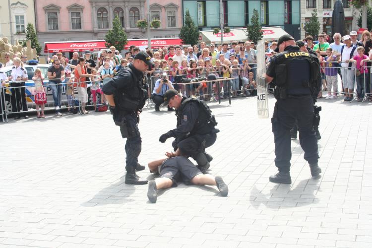 DEN POLICIE (18).jpg