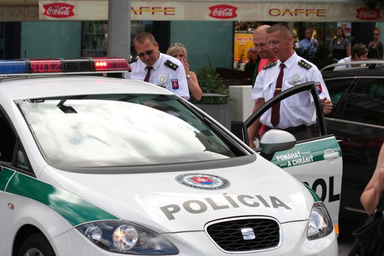 DEN POLICIE (3).jpg