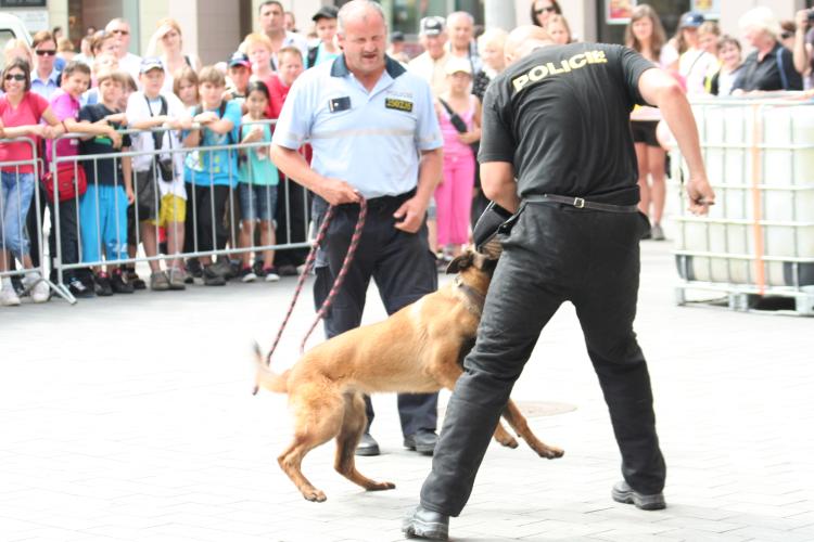 DEN POLICIE (6).jpg