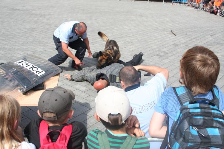DEN POLICIE (9).jpg