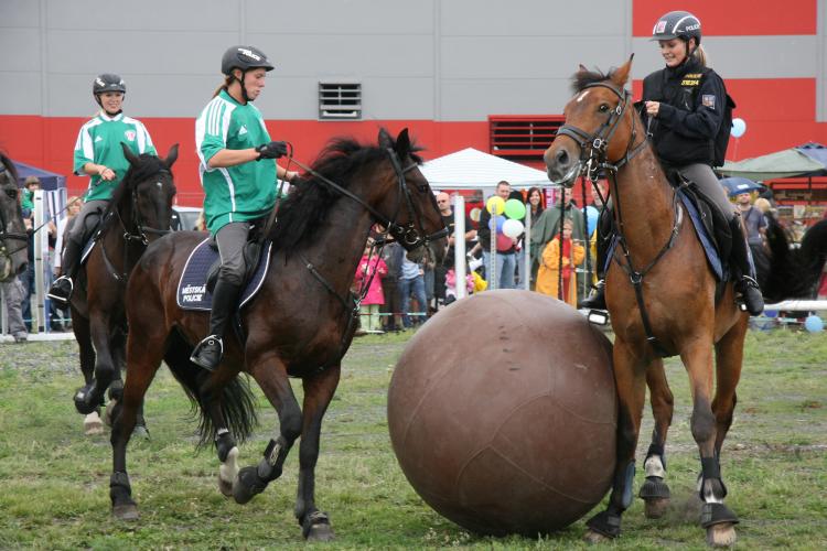 DEN S POLICIÍ