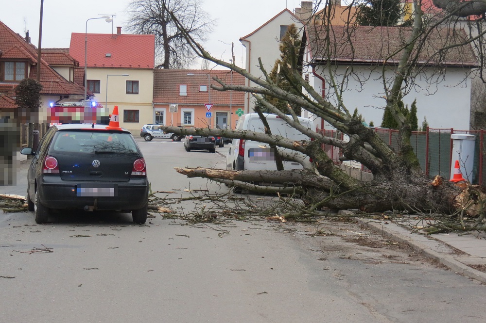 DN pád stromu v Hořicích ze dne 04. 03. 2019