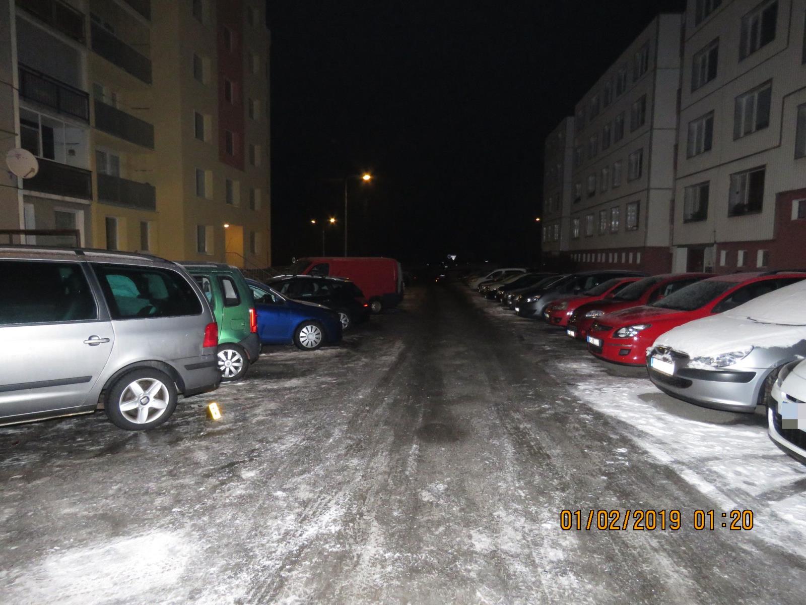 DN 1.2.2019-3