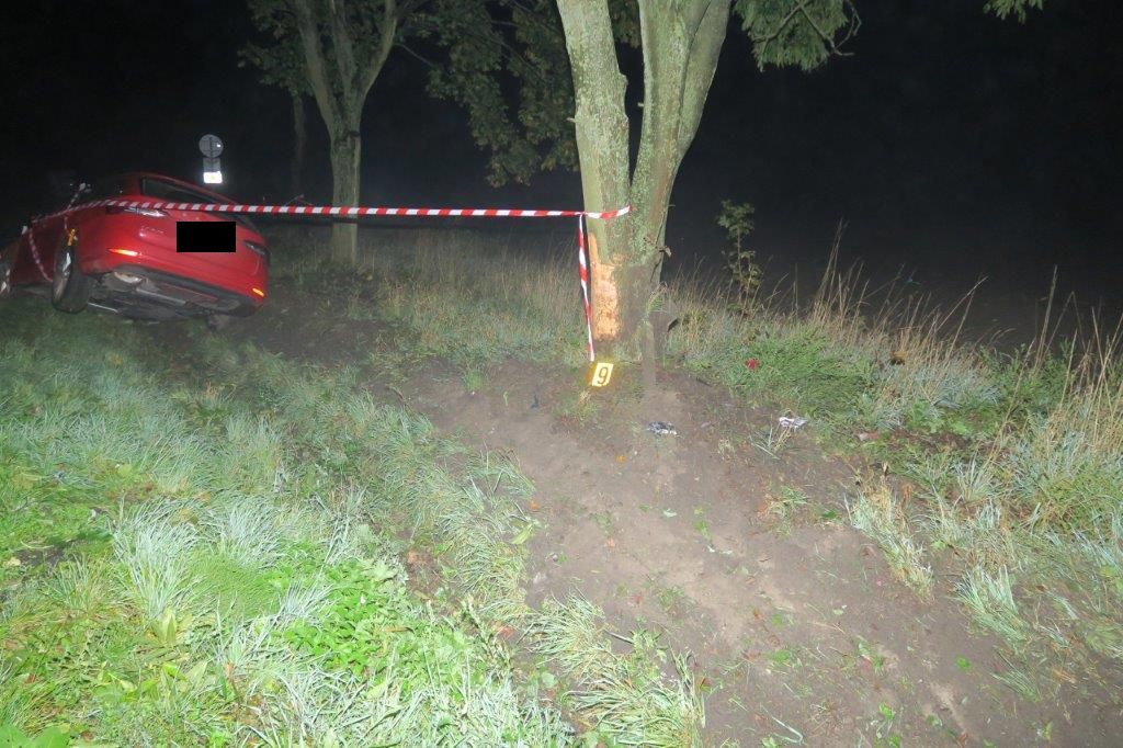 DN Bezděz (5)