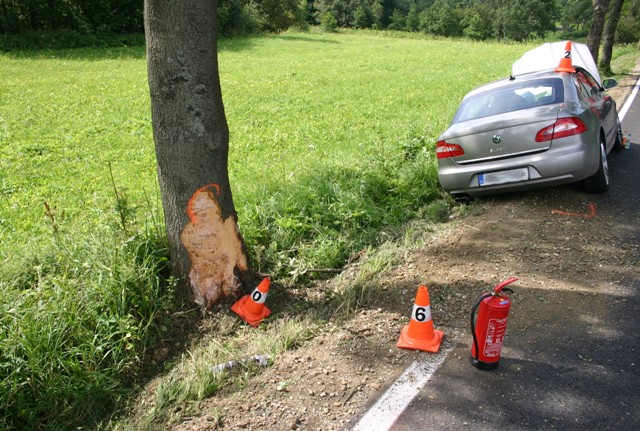 DN Branná