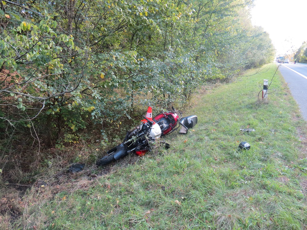 DN Budčeves ze dne 29. 09. 2018 - zvěř