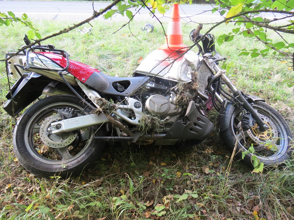 DN Budčeves ze dne 29. 09. 2018 - zvěř