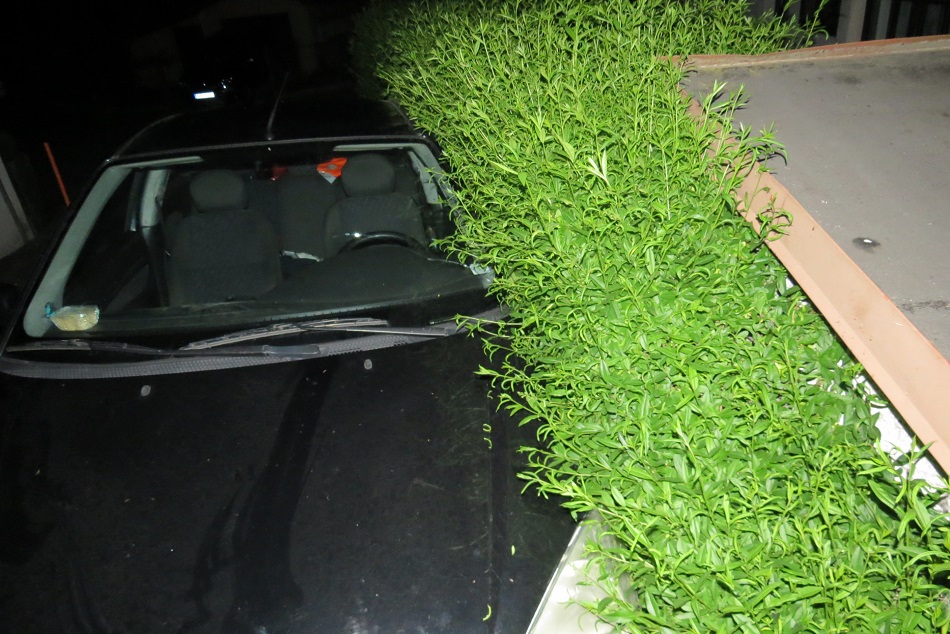 DN - Horní Lánov.jpg