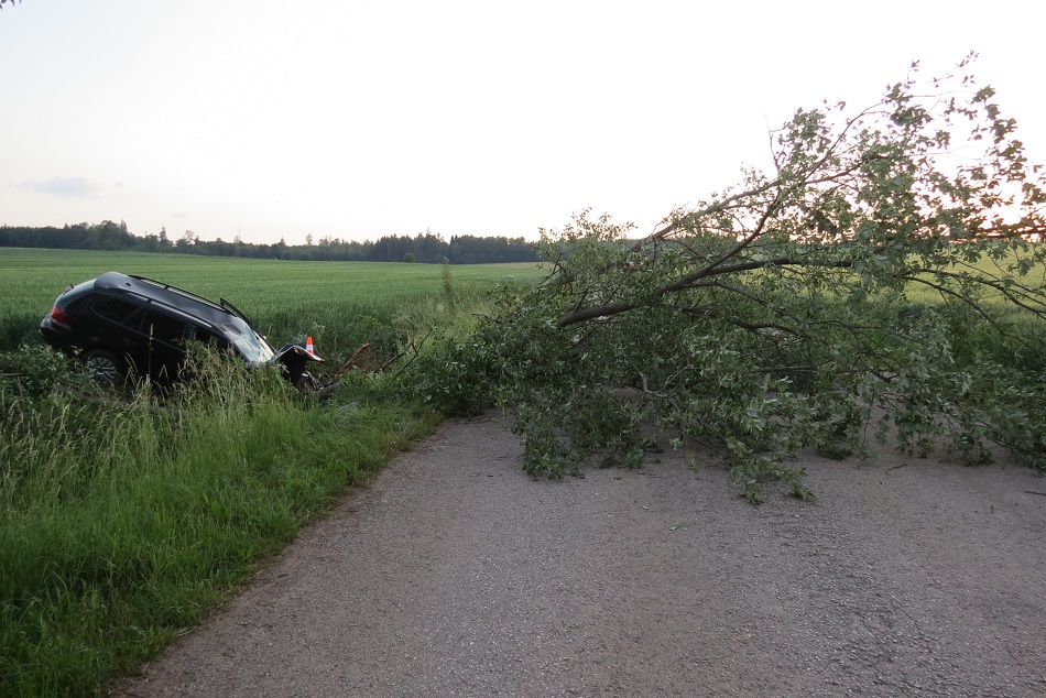 DN - Kunčice - Lánov.jpg