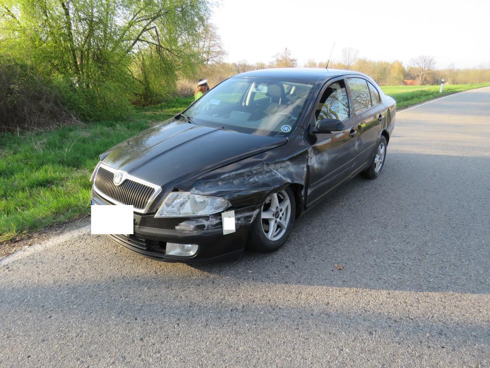 DN Netolice 
