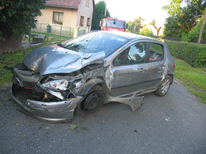 DN Psinice - foto č. 3