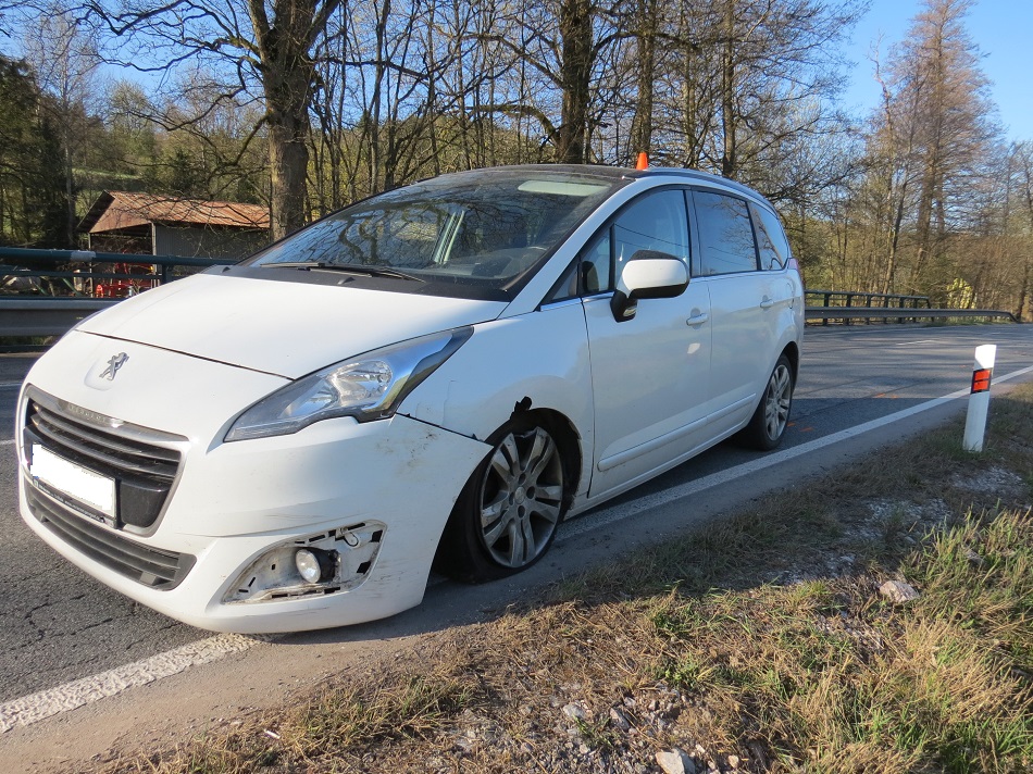 DN - Rudník - Javorník.jpg