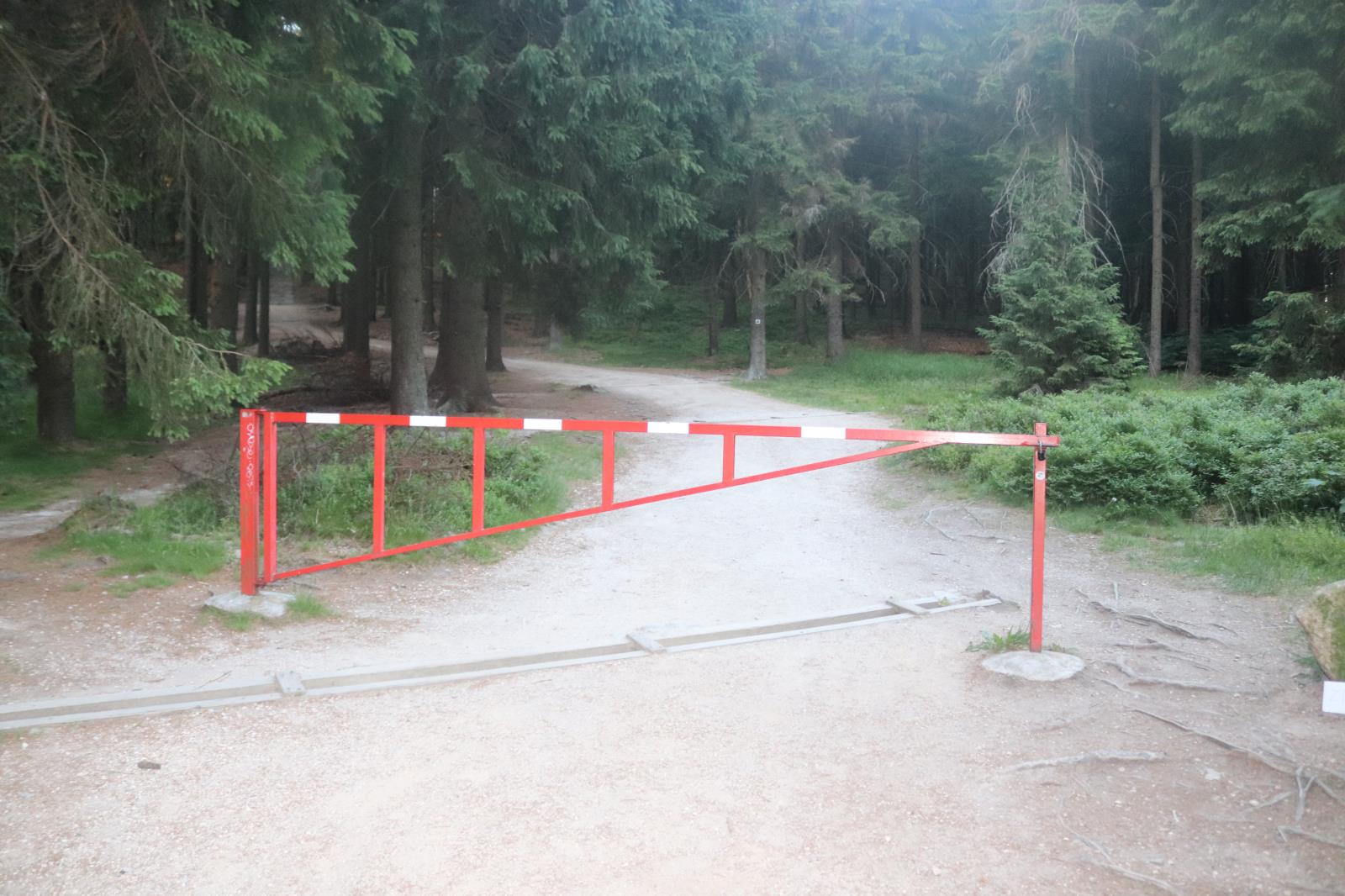 DN SM (1)