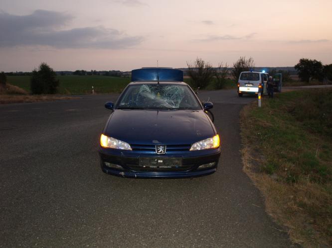 DN Třebnouševes - foto č. 1