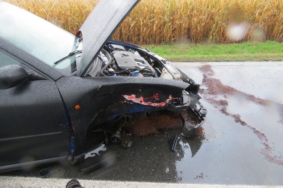 DN Velký Týnec-Krčmaň