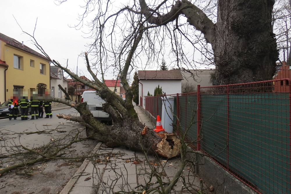 DN pád stromu v Hořicích ze dne 04. 03. 2019