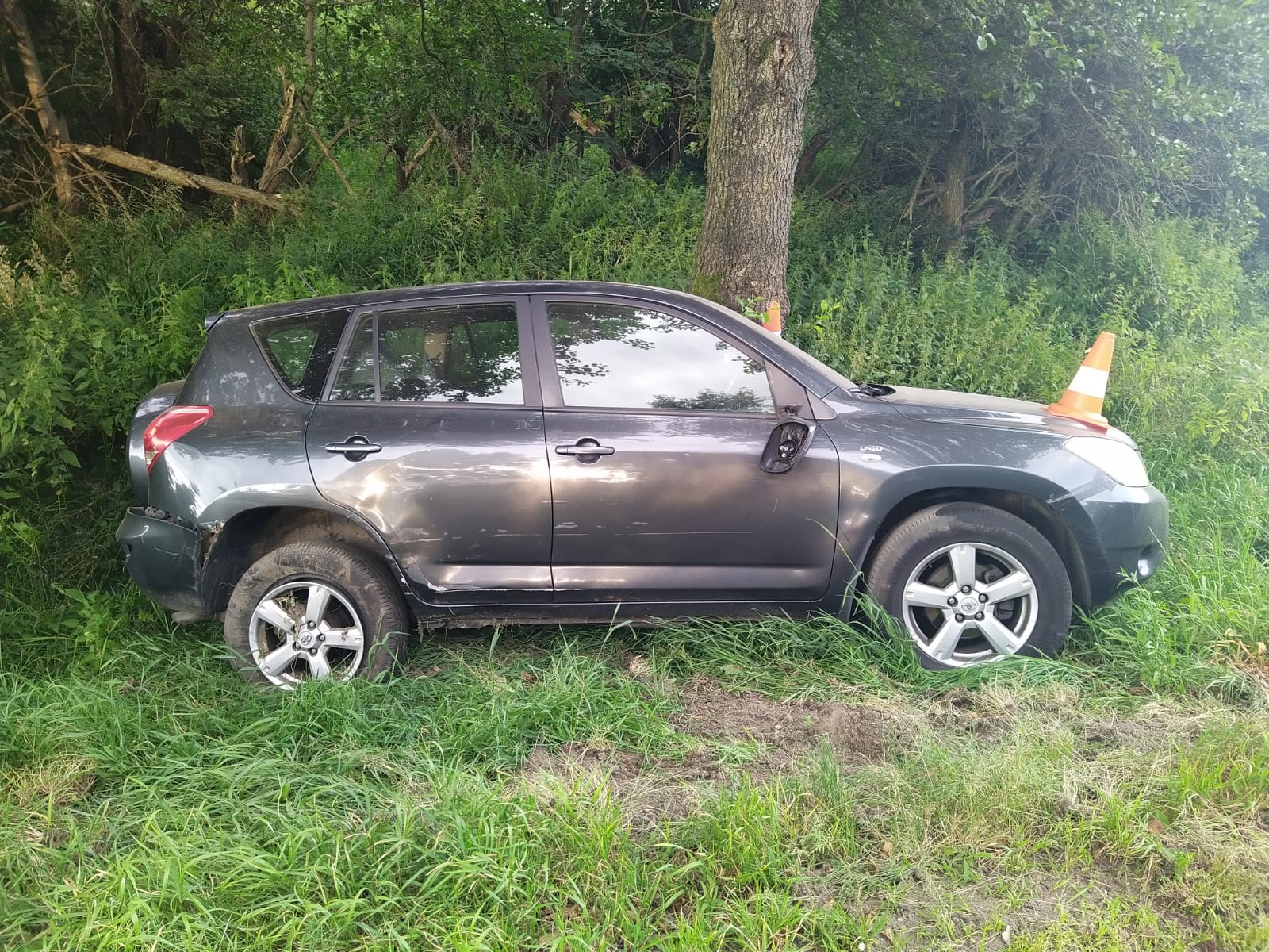 DN s LZ u Nové Bystřice 2.