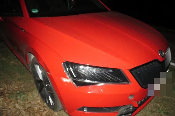 DN-statistika-zvěř