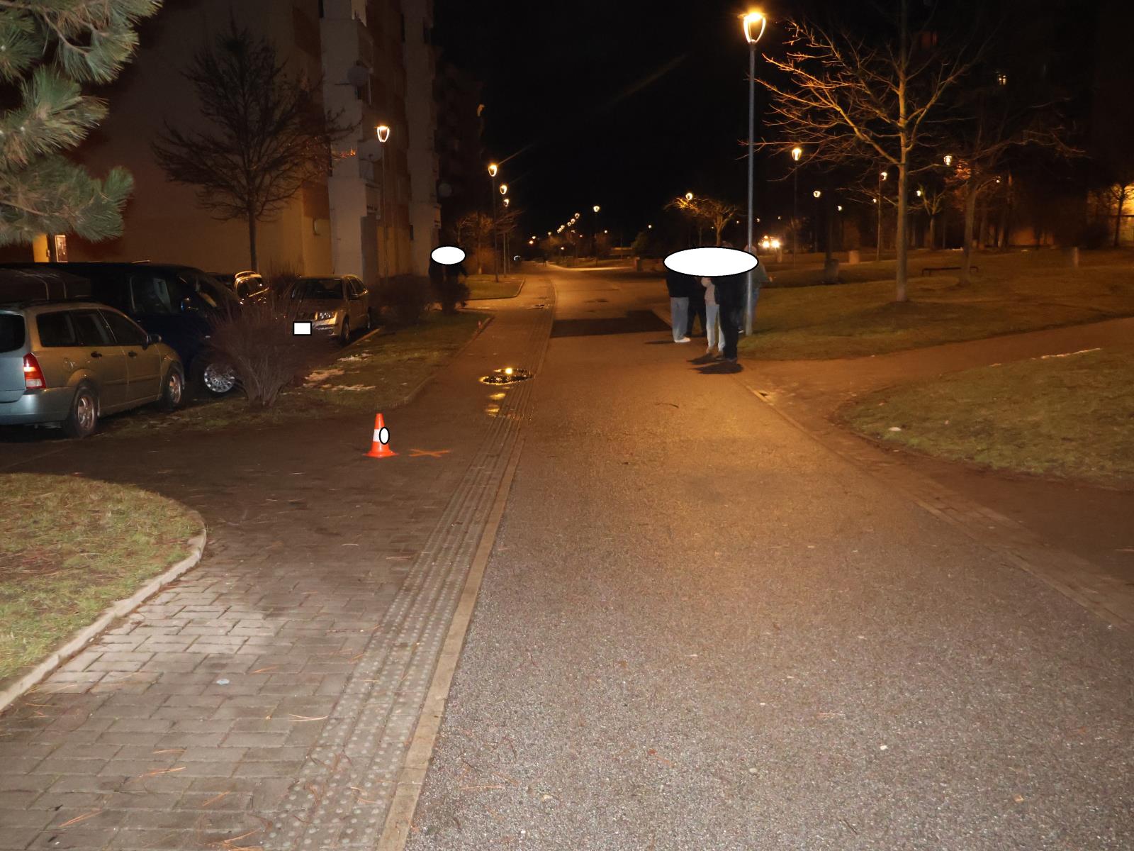 DN střet se psem na chodníku V Volfa 1.JPG