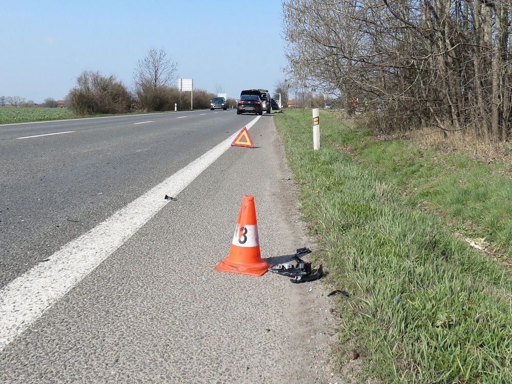 DN u Bílska ze dne 04. 04. 2020 - zvěř