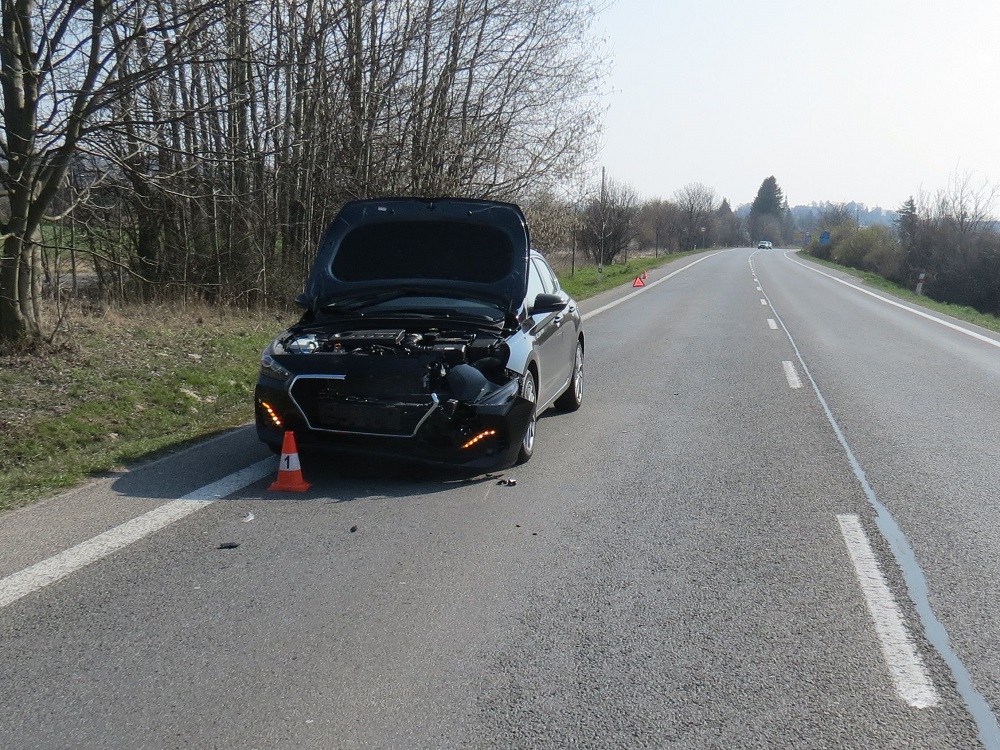 DN u Bílska ze dne 04. 04. 2020 - zvěř