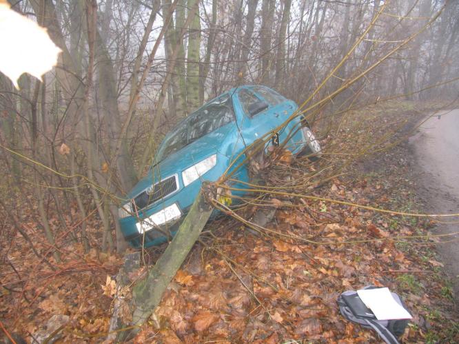 DN u Jičíněvse - foto č. 3