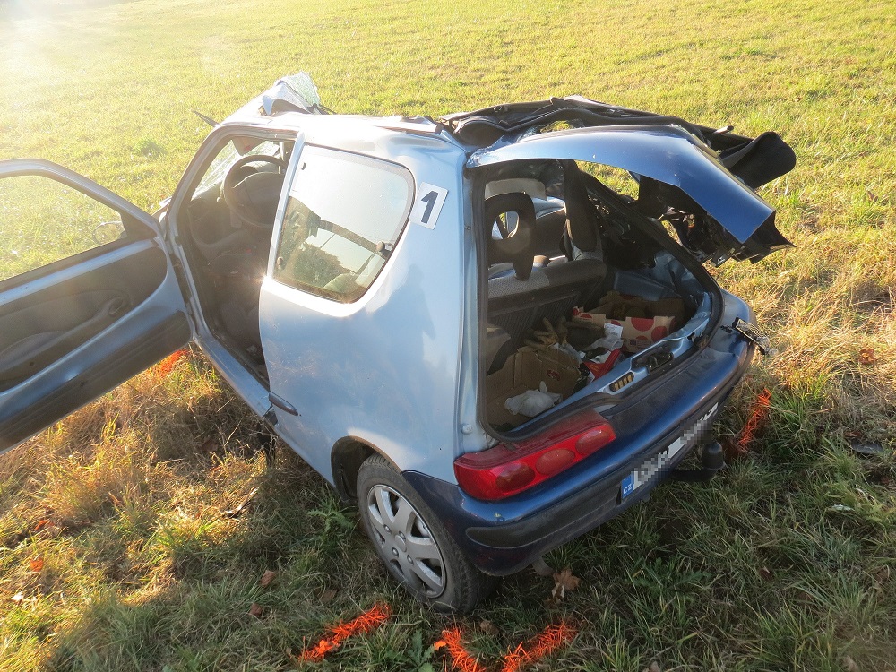 DN u Kopidlna 7.11.2019