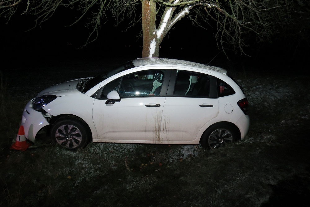 DN u Vitiněvse ze dne 02. 01. 2019